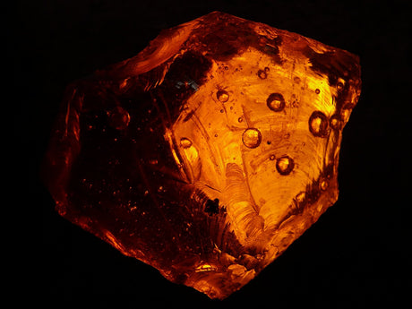 Amber Dry D