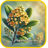 Aglaia Flower Abs