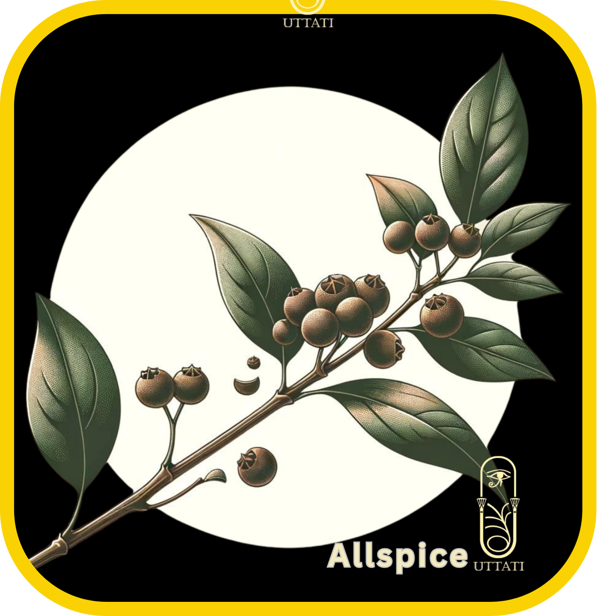 Allspice