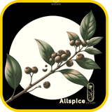 Allspice