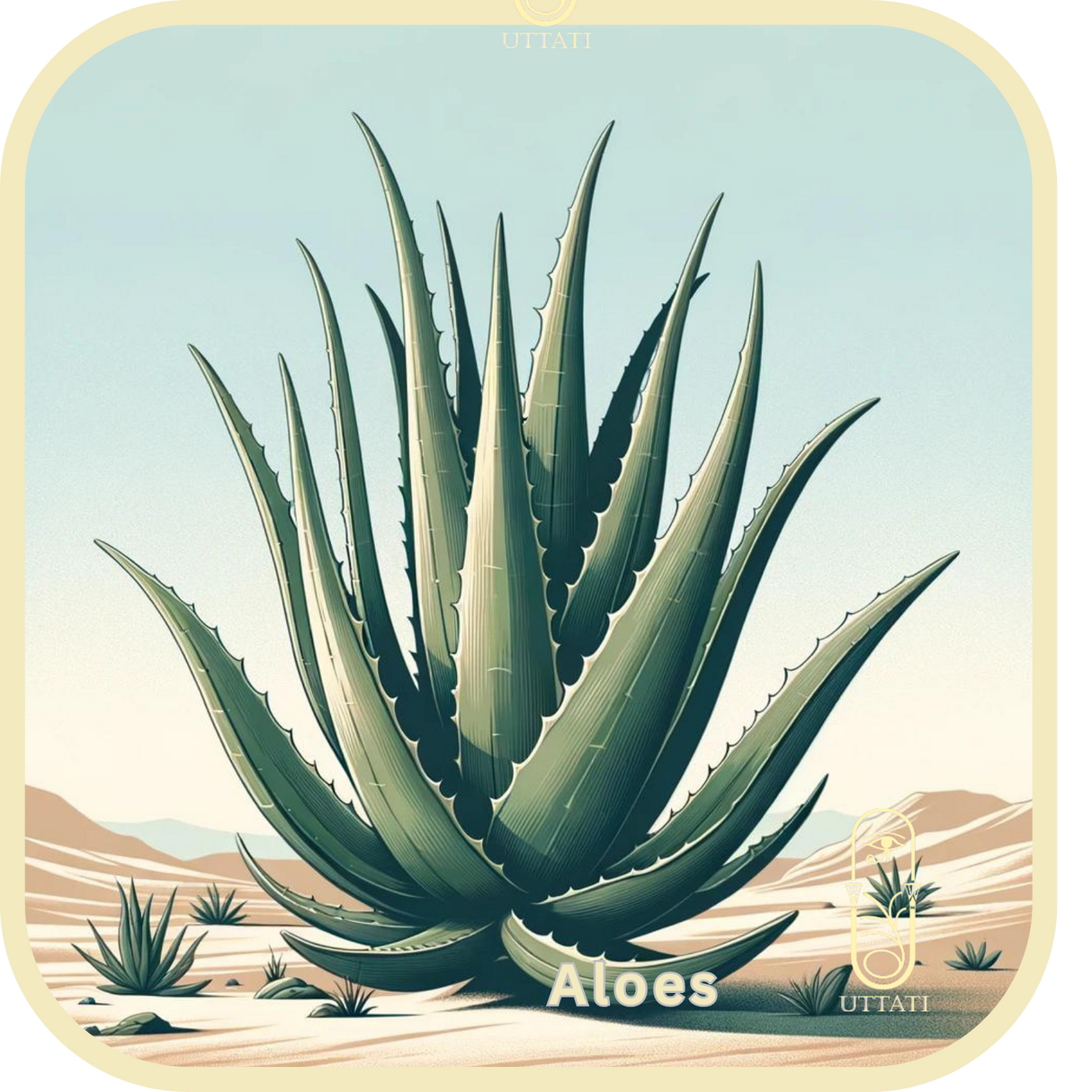 Aloes (UD)