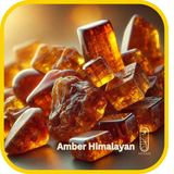 Amber Himalayan