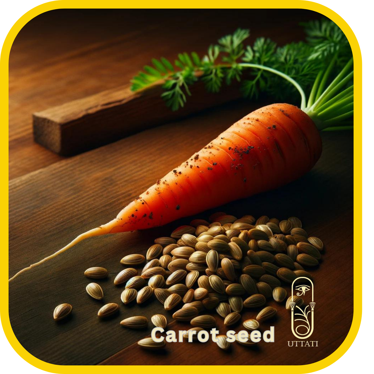 Carrot Seed