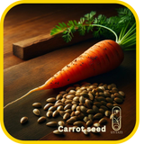 Carrot Seed