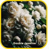 Double Jasmine