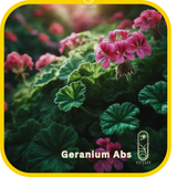 Geranium Abs