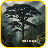 Hiba Wood