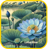 Lotus Blue