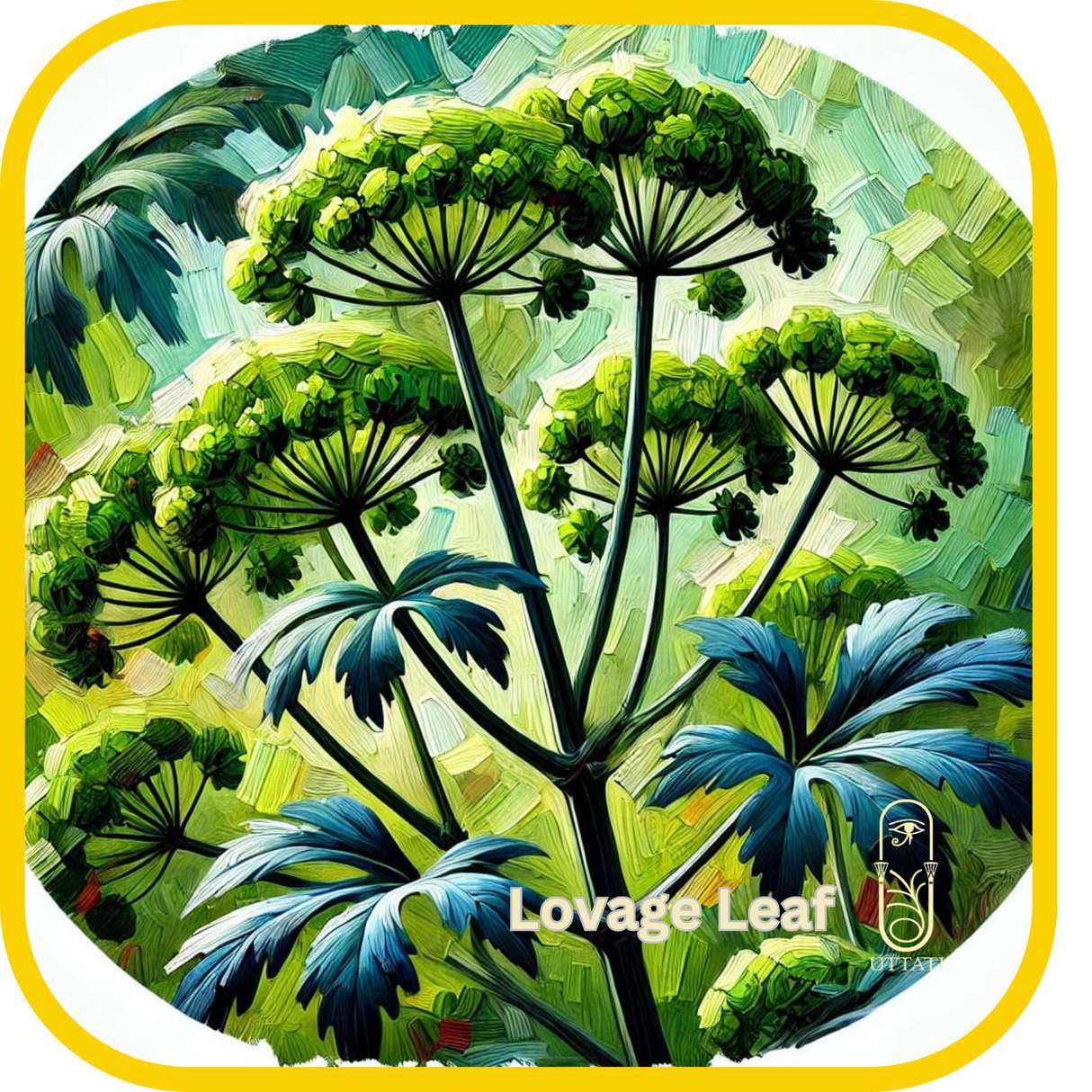 Lovage Leaf