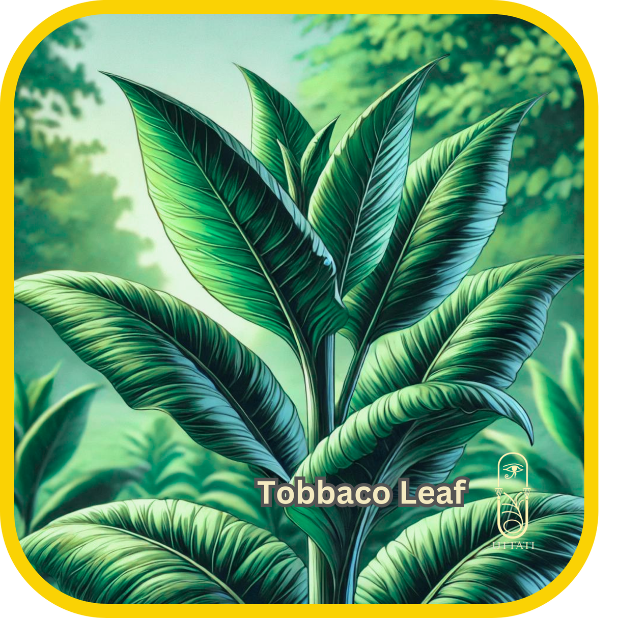 Tobbaco Leaf