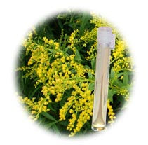 Golden Rod