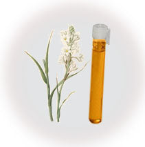 Tuberose